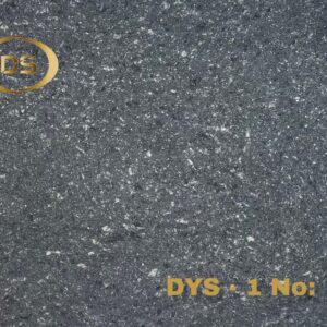 DYS - 1 SERİSİ